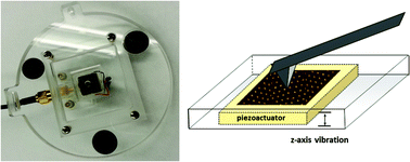 Graphical abstract: Sample stage designed for force modulation microscopy using a tip-mounted AFM scanner