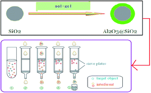Graphical abstract: Preparation of an Al2O3/SiO2 core–shell composite material for solid phase extraction of flavonoids