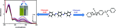 Graphical abstract: Exploitation of a simple Schiff base as a ratiometric and colorimetric chemosensor for glutamic acid