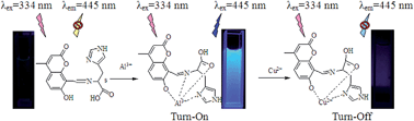Graphical abstract: A novel coumarin-based fluorescence chemosensor containing l-histidine for aluminium(iii) ions in aqueous solution