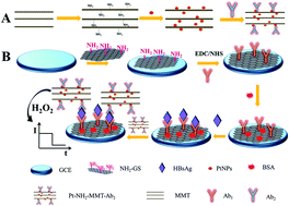 Graphical abstract: An electrochemical immunosensor for ultrasensitive detection of HBsAg based on platinum nanoparticles loaded on natural montmorillonite