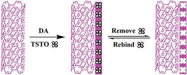 Graphical abstract: Preparation and evaluation of polydopamine imprinting layer coated multi-walled carbon nanotubes for the determination of testosterone in prostate cancer LNcap cells