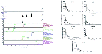 Graphical abstract: Simultaneous determination of seven catechins in rat plasma by ultra-high performance liquid chromatography tandem mass spectrometry and its application to a pharmacokinetics study