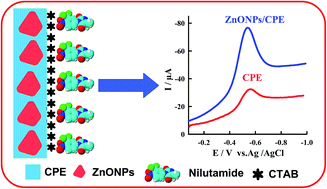 Graphical abstract: Square wave adsorptive stripping voltammetric determination of anticancer drug nilutamide in biological fluids using cationic surfactant cetyltrimethylammonium bromide