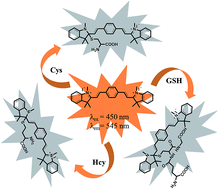 Graphical abstract: A fluorescent probe for thiols based on strong nucleophilic attack of sulfhydryl and its bioimaging