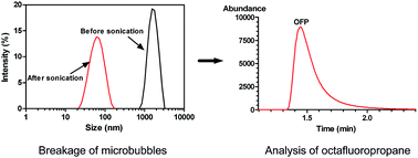 Graphical abstract: Rapid determination of a fluorinated gas in a lipid microbubble contrast agent by ultrasound-mediated microbubble destruction and GC-MS