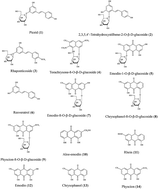 Graphical abstract: Comparative analysis of the major constituents in three related polygonaceous medicinal plants using pressurized liquid extraction and HPLC-ESI/MS