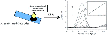 Graphical abstract: Determination of chromium(iii) by differential pulse stripping voltammetry at a chitosan–gold nanocomposite modified screen printed electrode