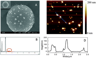 Graphical abstract: A new enzyme-free quadratic SERS signal amplification approach for circulating microRNA detection in human serum