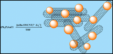 Graphical abstract: Carbon nanotube anions for the preparation of gold nanoparticle–nanocarbon hybrids