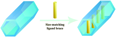 Graphical abstract: An effective strategy to boost the robustness of metal–organic frameworks via introduction of size-matching ligand braces