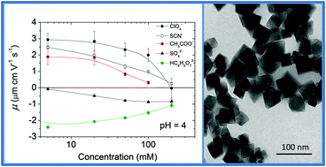 Graphical abstract: Specific ion effects on the electrokinetic properties of iron oxide nanoparticles: experiments and simulations