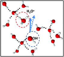 Graphical abstract: What is the primary mover of water dynamics?