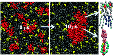 Graphical abstract: In silico phase separation in the presence of GM1 in ternary and quaternary lipid bilayers