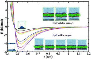 Graphical abstract: Self-assembly of phospholipids on flat supports