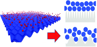 Graphical abstract: Mesoscopic modeling of structural and thermodynamic properties of fluids confined by rough surfaces