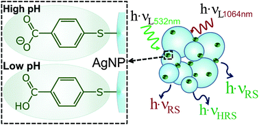 Graphical abstract: Combined near-infrared excited SEHRS and SERS spectra of pH sensors using silver nanostructures
