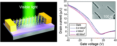 Graphical abstract: Vertical heterostructures of MoS2 and graphene nanoribbons grown by two-step chemical vapor deposition for high-gain photodetectors