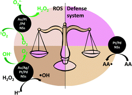 Graphical abstract: Exploring environment-dependent effects of Pd nanostructures on reactive oxygen species (ROS) using electron spin resonance (ESR) technique: implications for biomedical applications