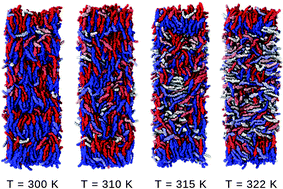 Graphical abstract: Molecular organization in freely suspended nano-thick 8CB smectic films. An atomistic simulation