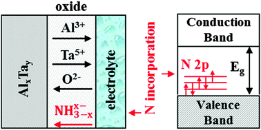 Graphical abstract: Photoelectrochemical evidence of nitrogen incorporation during anodizing sputtering – deposited Al–Ta alloys