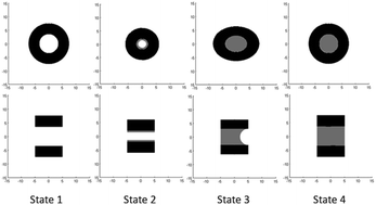 Graphical abstract: Spatial frequency heterodyne imaging of aqueous phase transitions inside multi-walled carbon nanotubes