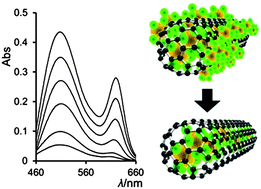 Graphical abstract: Quantitative monitoring of the removal of non-encapsulated material external to filled carbon nanotube samples