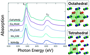 Graphical abstract: Evidence for localized moment picture in Mn-based Heusler compounds