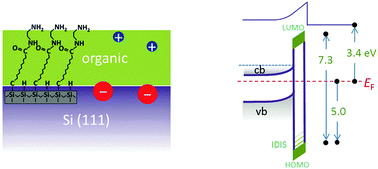 Graphical abstract: Static and dynamic electronic characterization of organic monolayers grafted on a silicon surface