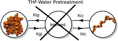 Graphical abstract: Enhanced sampling simulation analysis of the structure of lignin in the THF–water miscibility gap