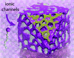 Graphical abstract: Morphology-enhanced conductivity in dry ionic liquids