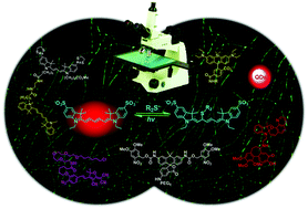 Graphical abstract: Super-resolution fluorescent materials: an insight into design and bioimaging applications