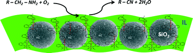 Graphical abstract: Direct oxidation of amines to nitriles in the presence of ruthenium-terpyridyl complex immobilized on ILs/SILP