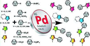 Graphical abstract: Regioselectivity in palladium-catalysed direct arylation of 5-membered ring heteroaromatics