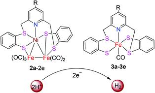 Graphical abstract: Novel reactions of homodinuclear Ni2 complexes [Ni(RNPyS4)]2 with Fe3(CO)12 to give heterotrinuclear NiFe2 and mononuclear Fe complexes relevant to [NiFe]- and [Fe]-hydrogenases