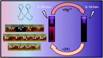 Graphical abstract: Selective turn-off phosphorescent and colorimetric detection of mercury(ii) in water by half-lantern platinum(ii) complexes