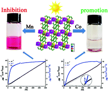 Graphical abstract: The effect of metal ions on photocatalytic performance based on an isostructural framework