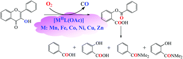 Graphical abstract: Catalytic dioxygenation of flavonol by MII-complexes (M = Mn, Fe, Co, Ni, Cu and Zn) – mimicking the MII-substituted quercetin 2,3-dioxygenase