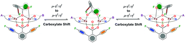 Graphical abstract: 19F NMR study of ligand dynamics in carboxylate-bridged diiron(ii) complexes supported by a macrocyclic ligand