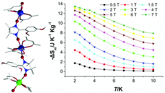 Graphical abstract: Nitronyl nitroxide based 2p–3d–4f chains with the magnetocaloric effect and slow magnetic relaxation