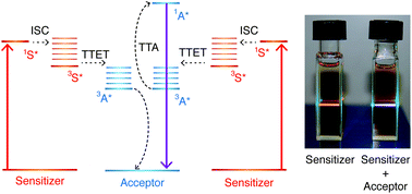 Graphical abstract: MLCT sensitizers in photochemical upconversion: past, present, and potential future directions