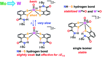Graphical abstract: Significant differences of monooxotungsten(iv) and dioxotungsten(vi) benzenedithiolates containing two intramolecular NH⋯S hydrogen bonds from molybdenum analogues