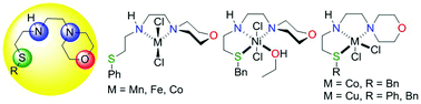 Graphical abstract: First-row transition metal complexes of ENENES ligands: the ability of the thioether donor to impact the coordination chemistry