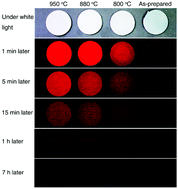Graphical abstract: A vacuum-annealing strategy for improving near-infrared super long persistent luminescence in Cr3+ doped zinc gallogermanate nanoparticles for bio-imaging