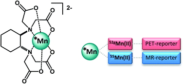 Graphical abstract: Radiolabelling with isotopic mixtures of 52g/55Mn(ii) as a straight route to stable manganese complexes for bimodal PET/MR imaging