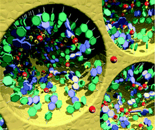 Graphical abstract: Non-covalent functionalization of high-surface area nanomaterials: a new class of sorbent materials