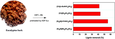 Graphical abstract: Fractionation of lignin from eucalyptus bark using amine-sulfonate functionalized ionic liquids