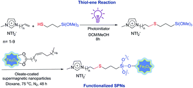 Graphical abstract: Bifunctional hydrophobic ionic liquids: facile synthesis by thiol–ene “click” chemistry