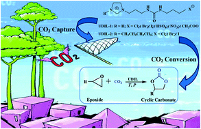 Graphical abstract: Novel urea derivative-based ionic liquids with dual-functions: CO2 capture and conversion under metal- and solvent-free conditions