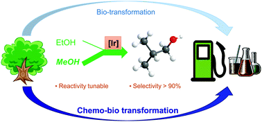 Graphical abstract: Selective upgrading of ethanol with methanol in water for the production of improved biofuel—isobutanol
